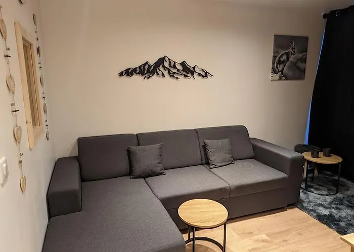 Appartement Superbe Sur Le Front De Neige