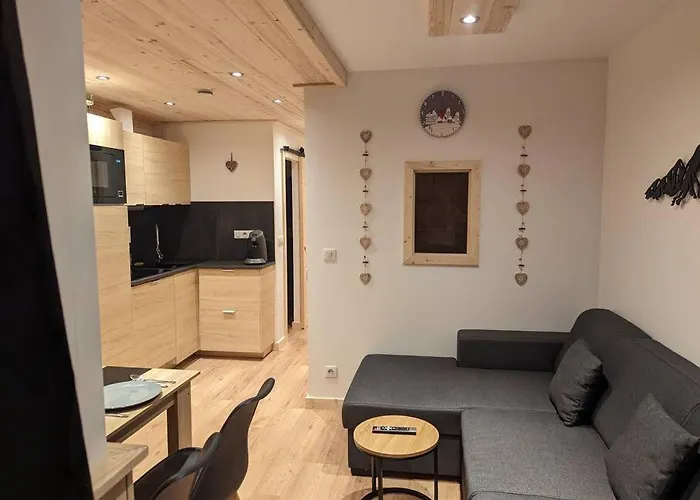 Superbe Sur Le Front De Neige Appartement